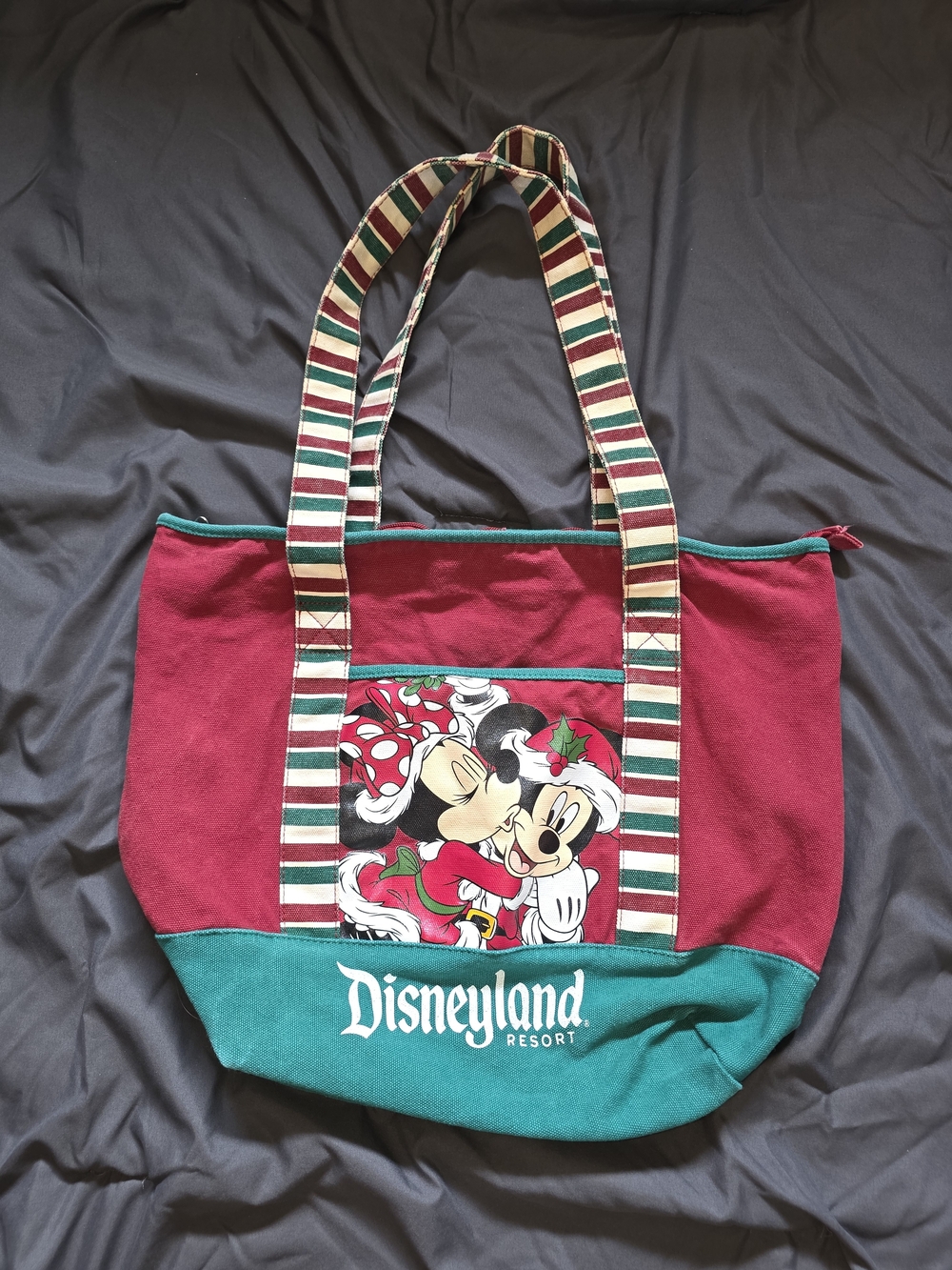Disney Parks Disneyland Resort Mickey Minnie Christmas Holiday Zip Tote Bag